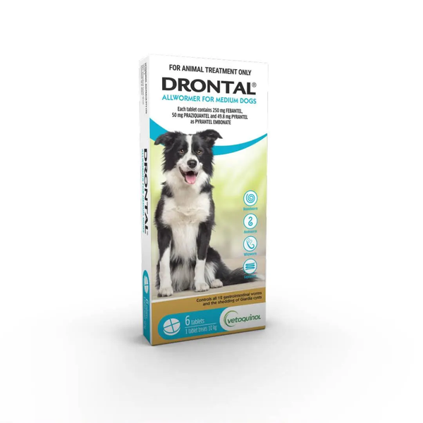 Drontal Allwormer Tablets Medium Dog 6 Pack (Febantel, Praziquantel Pyrantel as Pyrantel Embonate)